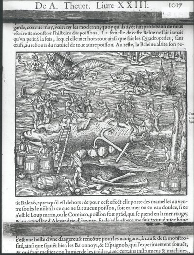 Découpe d